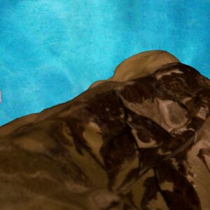 I felt like some watcher, divining skies thumbnail