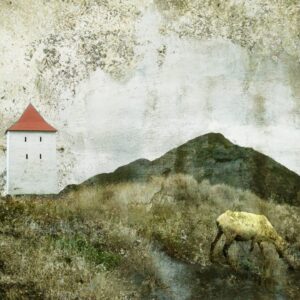 I felt like some watcher, divining skies thumbnail