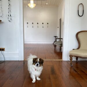 Retrospective and Hang It On Me thumbnail