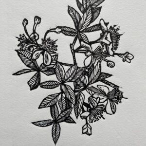 The Small Print Show thumbnail