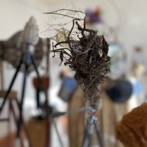 Matariki :  A Celestial Celebration thumbnail